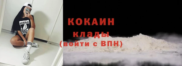 прущие крисы Карпинск
