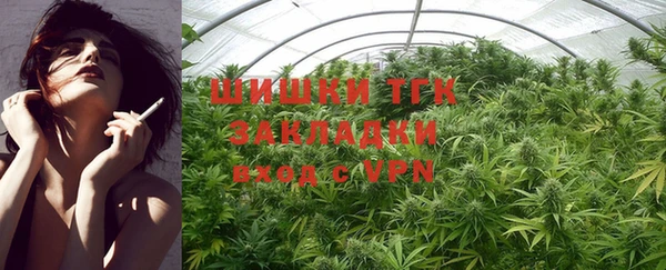 прущая мука Каменка