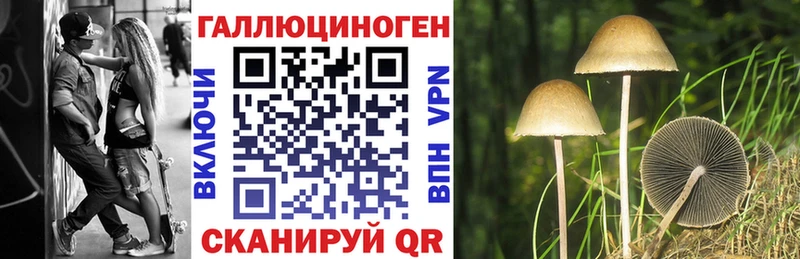 Галлюциногенные грибы прущие грибы  Купить закладки  Жердевка 