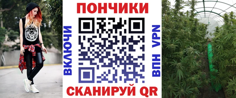 Купить где  Жердевка  Шишки марихуана индика 
